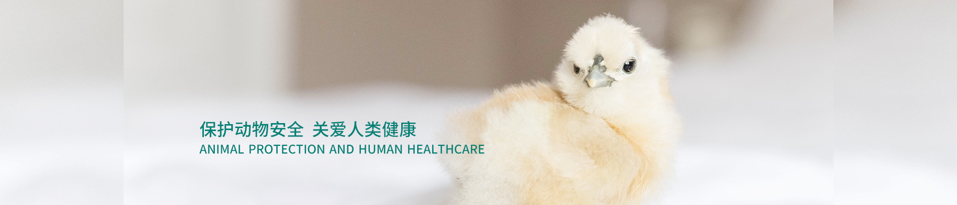 关于利国国际老牌w66