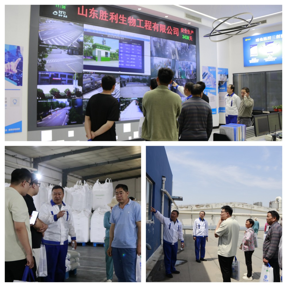 现场参观 (1)_副本.jpg